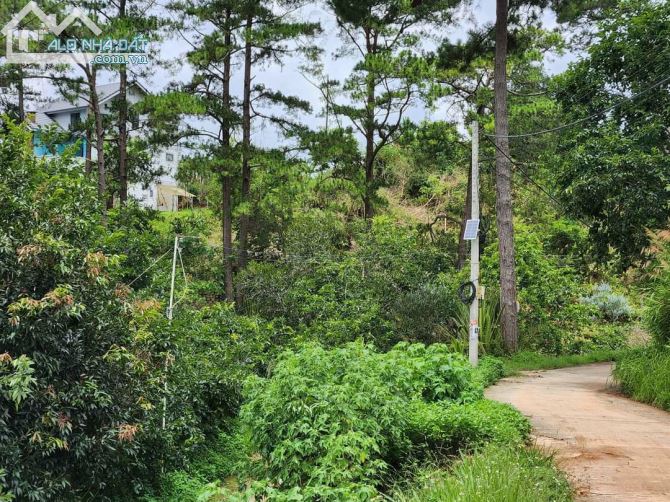 Bán lô đất trên đồi xây biệt thự gần rừng thông rất đẹp tại tp Đà Lạt. 10ti5 - 250m²