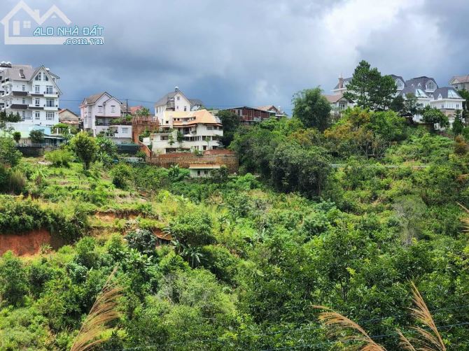 Bán lô đất trên đồi xây biệt thự gần rừng thông rất đẹp tại tp Đà Lạt. 10ti5 - 250m² - 1