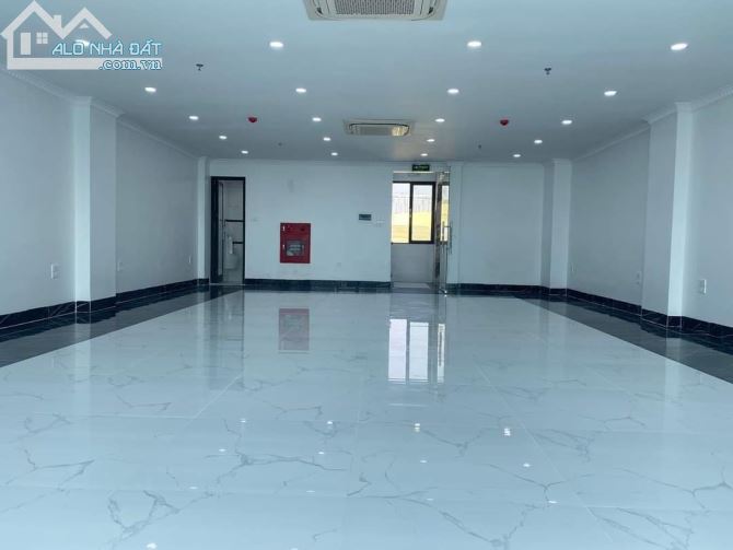 TRẦN ĐẠI NGHĨA -PHÂN LÔ - Ô TÔ TRÁNH -KINH DOANH ĐỈNH - 2