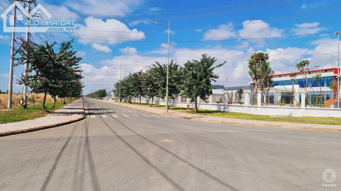 BÁN ĐẤT THỊ TRẤN ĐẤT ĐỎ BÀ RỊA VŨNG TÀU DIỆN TÍCH 235m