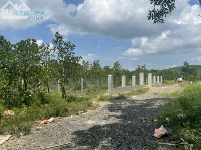 2127 m2 Đất Thanh Sơn - Định Quán giá siêu tốt - 2