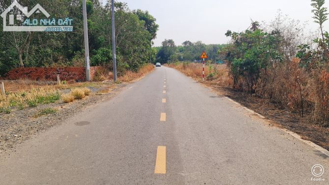 BÁN ĐẤT THỊ TRẤN ĐẤT ĐỎ BÀ RỊA VŨNG TÀU DIỆN TÍCH 235m - 4