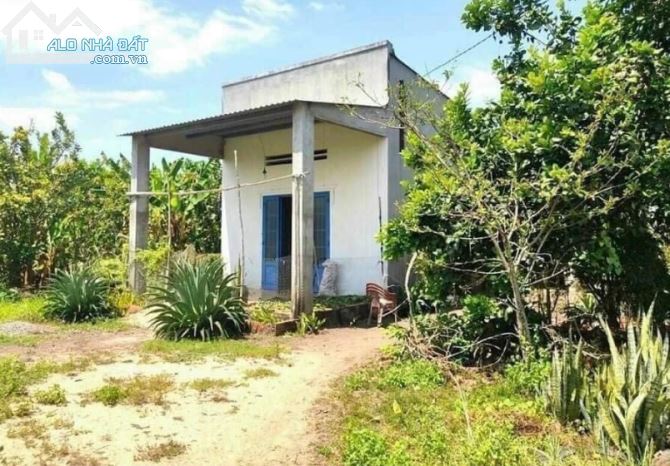 Đất ở 1143m2, Cách sân bay Long Thành 3km, Chỉ 3 tỷ, Mua là thắng lớn - 4