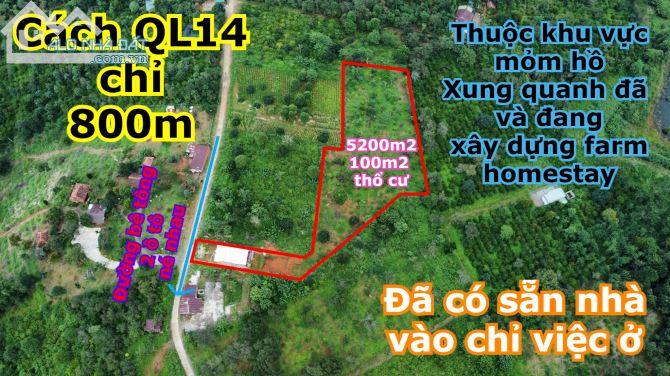 Đất thổ cư 5200m2, khu vực đảo, cách quốc lộ 14 chỉ 1km tại thôn 5 Nhân Cơ tỉnh Đắk Nông