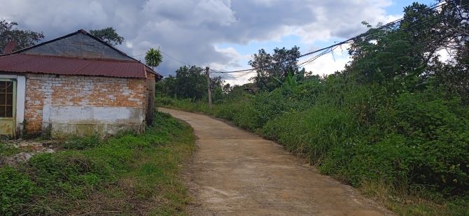 Đất thổ cư 5200m2, khu vực đảo, cách quốc lộ 14 chỉ 1km tại thôn 5 Nhân Cơ tỉnh Đắk Nông - 2