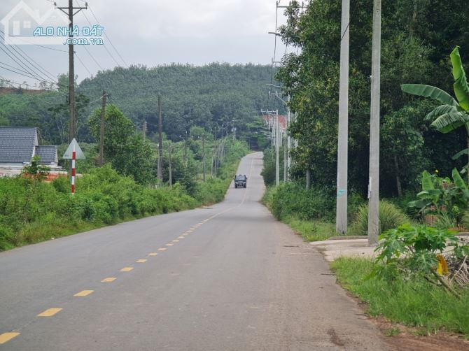 Hạ giá bán nhanh 2 mẫu Cao Su Xuân Lộc 250 M mặt tiền giá chỉ 6,2 tỷ trên đất có nhà