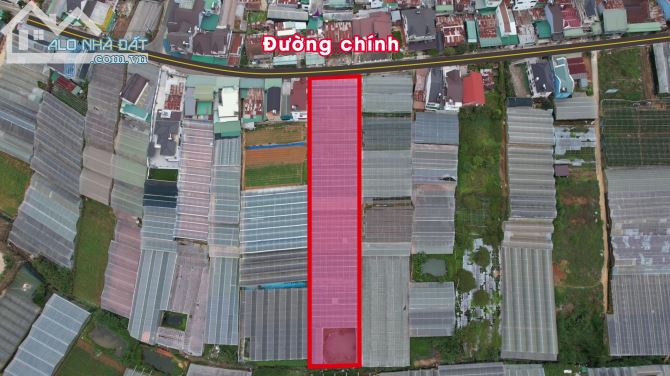 Em bán 3300m² đất nông nghiệp chuyển đổi xây dựng được mặt tiền đường tại tp Đà Lạt.11tr/m - 1