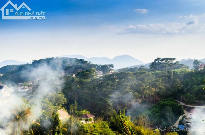 Ngân Hàng Dí Siết,Cần Lắm Khách Mua Giúp GĐ Lô Đất Mặ Tiền Đống Đa  Tặng Bản Thiết Kế VIP - 4