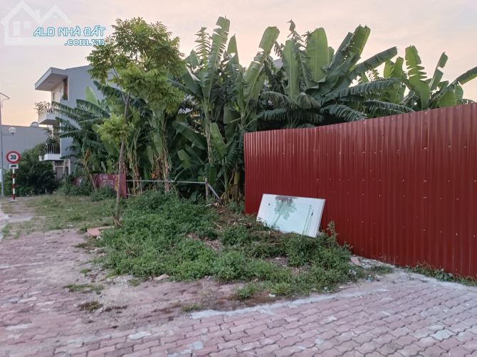 Bán Đất SỔ ĐỎ mặt đường Bùi Viện, ngay Vòng xuyến Lê Hồng Phong, NGT - Gần BT Phát Dầu - 3