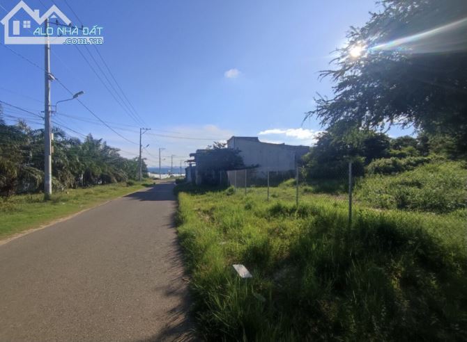 Bán đất mặt tiền đường Hàn Mặc Tử Phường Phú Hài Phan Thiết 2314m2 ngang 59m giá 11tr/m2 - 4