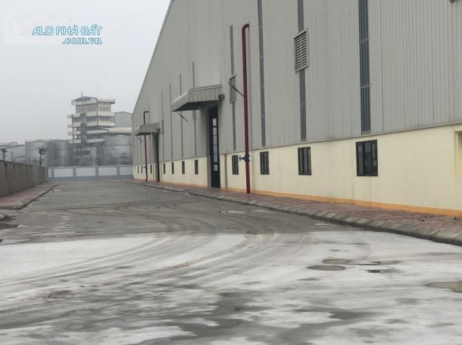 Cho thuê kho xưởng mới dựng trong KCN Lương Sơn-Hòa Bình; 4352m2; kho đẹp, có PCCC - 1