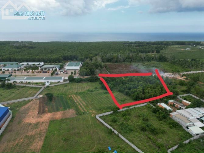 Đất Ngộp Âu Cơ-Tiến Thành(Phan Thiết)-Lâm Đồng-Gần DA Ven Biển-6.000m2 - 1
