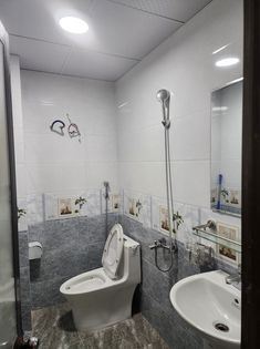 Phân lô, gần ô tô tránh_ 4,5 tỷ- Trung Tâm Thanh Trì - 2