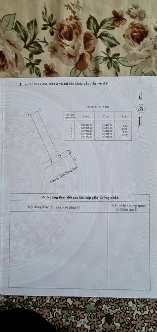 Bán đất mặt tiền Đường Trần Hưng Đạo Phường Lạc Đạo TP Phan Thiết 150m2 giá 13.5 tỷ - 3
