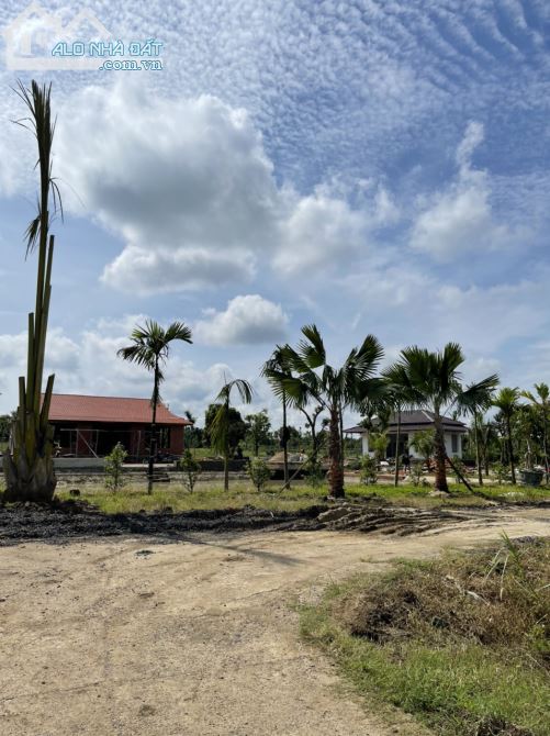 BÁN ĐẤT TẶNG NHÀ TẠI XÃ EA NUÔL BUÔN ĐÔN ĐĂK LĂK - 3