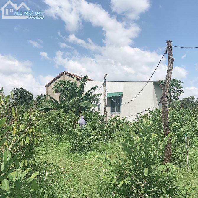 BÁN ĐẤT TẶNG NHÀ TẠI XÃ EA NUÔL BUÔN ĐÔN ĐĂK LĂK - 5