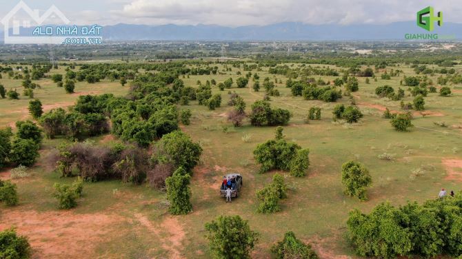 Cần bán gấp 10,744m2 đất thị trấn chợ lấu cách biển hoà thắng chưa đến 2km chỉ 165k/m2 - 2