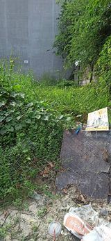 Bán lô đất mặt tiền đường số 6, Linh Tây, 97m2, giá 6,4 tỷ - 2