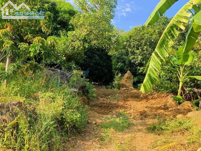 Bán Vườn Cam Hoà - Khánh Hòa 6,7ha - 5 tỷ 5 - View đầm Thủy Triều và Bãi Dài - 4