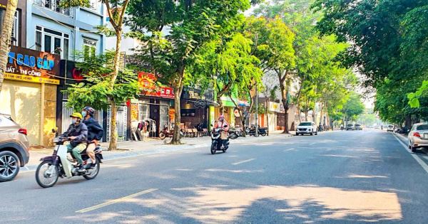 Bán gấp nhà mặt phố Triệu Việt Vương, Hai Bà Trưng 236m2, MT 10m kinh doanh Văn Phòng - 2