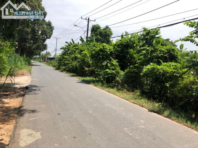 Bán đất MT Trương Thị Kiện, Thái Mỹ, Củ Chi: 3,150m2, giá 4,8 triệu/m2 - 2