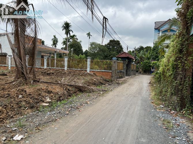 1 cặp đất Thích Hợp xây Biệt Thự Vườn mặt tiền An Sơn 24, Cách Đường Hồ Văn Mên 50m - 3