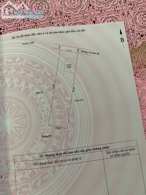 1 cặp đất Thích Hợp xây Biệt Thự Vườn mặt tiền An Sơn 24, Cách Đường Hồ Văn Mên 50m - 4