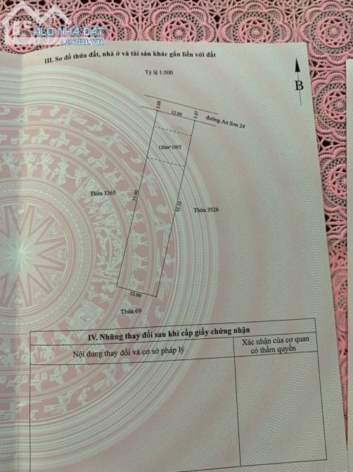 1 cặp đất Thích Hợp xây Biệt Thự Vườn mặt tiền An Sơn 24, Cách Đường Hồ Văn Mên 50m - 5