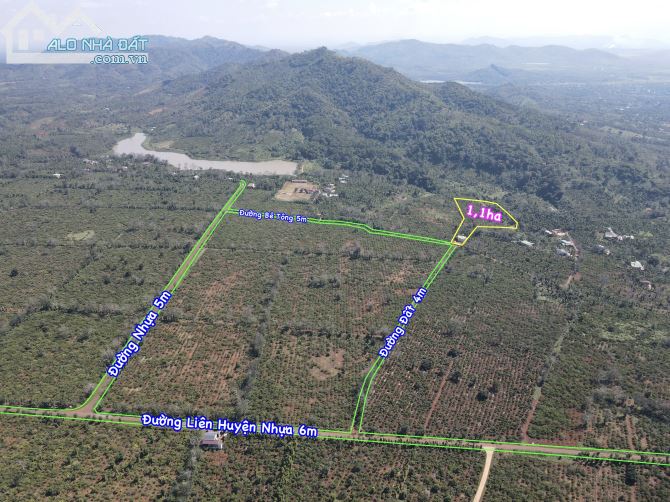 1,1ha đất vườn cà phê, Tiêu và nhà cấp 4 kiên cố, Đường Bê Tông 5m, Tại Eaknuếc, Kroongpắc - 5