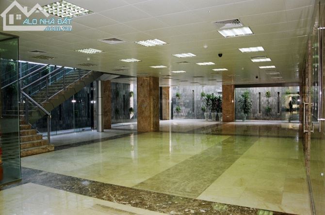 CHÍNH CHỦ NHỜ BÁN MP TRẦN THÁI TÔNG, 300M2, VỈA HÈ 10M, XÂY TÒA BUILDING 101 TỶ - 1