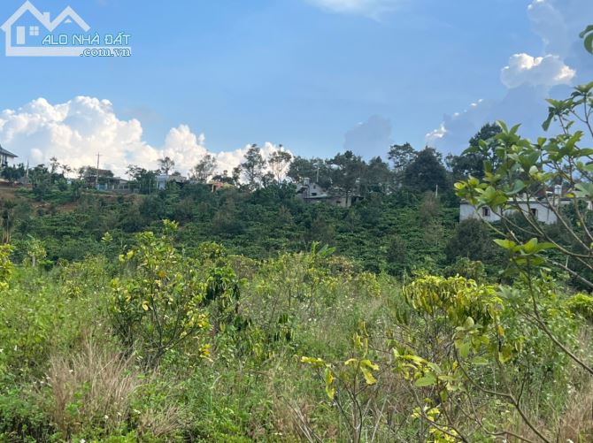 Đất nghỉ dưỡng 3000m2 view hồ, suối, trục đường Tứ Quý Lộc An, TP Bảo Lôc