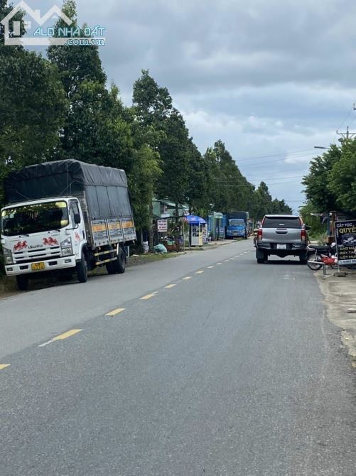 Đất mt đường Châu Thị Kim (cách vành đai 100 m) ,xã An Vĩnh Ngãi ,TP Tân An - 1