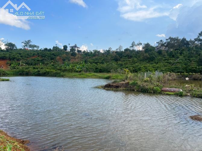 Đất nghỉ dưỡng 3000m2 view hồ, suối, trục đường Tứ Quý Lộc An, TP Bảo Lôc - 1