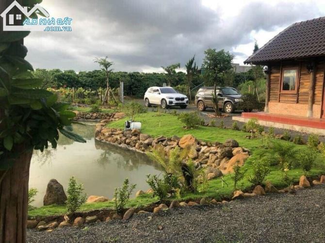 Bán 3 sào 8 đất vườn trung tâm Ma Lâm, 2 mặt tiền đường, liền kề cao tốc - 1