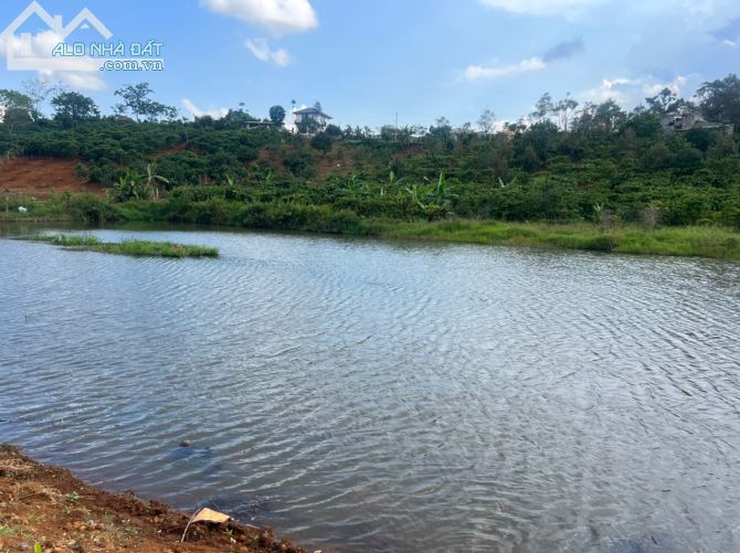 Đất nghỉ dưỡng 3000m2 view hồ, suối, trục đường Tứ Quý Lộc An, TP Bảo Lôc - 2