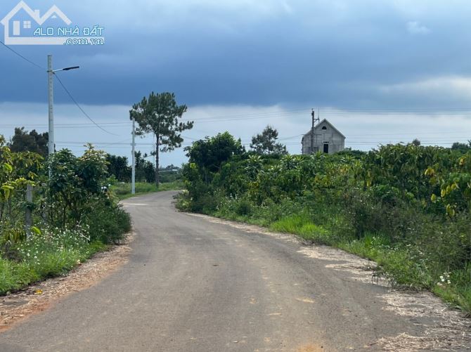 Đất nghỉ dưỡng 3000m2 view hồ, suối, trục đường Tứ Quý Lộc An, TP Bảo Lôc - 3