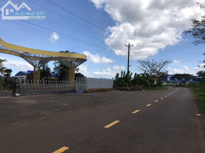 Đất nghỉ dưỡng 3000m2 view hồ, suối, trục đường Tứ Quý Lộc An, TP Bảo Lôc - 4