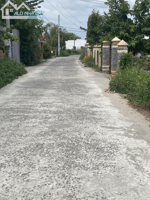✅ Bán 1 000m2 đất cây trồng 🏝 sổ riêng📕 gần chợ🏫 xã Hàm Cường huyện Hàm Thuận Nam - 1