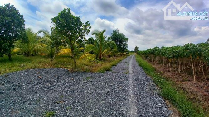 Bán vườn mít thái 1275m2 đất view Sông Vàm cỏ, 950 tr - 1