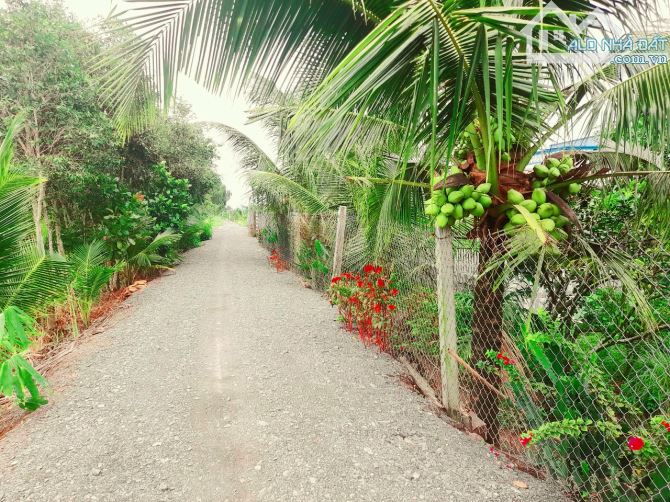 Bán vườn mít thái 1275m2 đất view Sông Vàm cỏ, 950 tr - 2