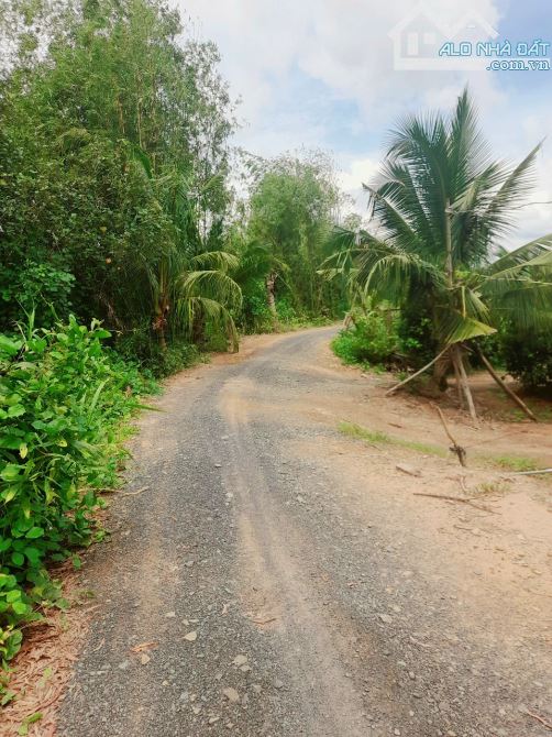 Bán vườn mít thái 1275m2 đất view Sông Vàm cỏ, 950 tr - 4