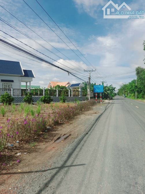 Bán vườn mít thái 1275m2 đất view Sông Vàm cỏ, 950 tr - 6