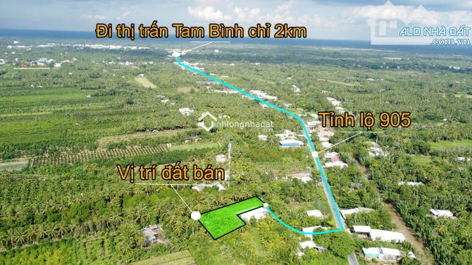Bán lô đất liền kề đường tỉnh 905 (lộ 16) cách thị trấn Tam Bình khoảng 2km - 1