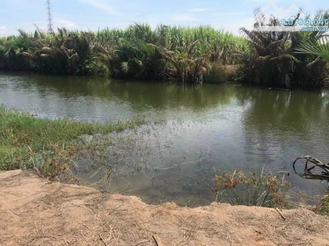 CẦN TIỀN bán gấp đất Đại Phước Nhơn Trạch GẦN ECOPARK, ngộp nặng, giá rẻ 2,5tr/m, CHỦ - 2