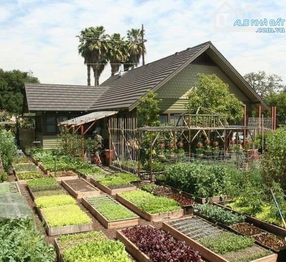 CẦN TIỀN bán gấp đất Đại Phước Nhơn Trạch GẦN ECOPARK, ngộp nặng, giá rẻ 2,5tr/m, CHỦ - 3