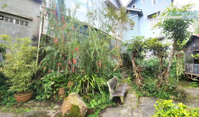 NHÀ GỖ SÂN VƯỜN AO CÁ  ĐƯỜNG Ô TÔ NGUYỄN DU ĐÀ LẠT - 7