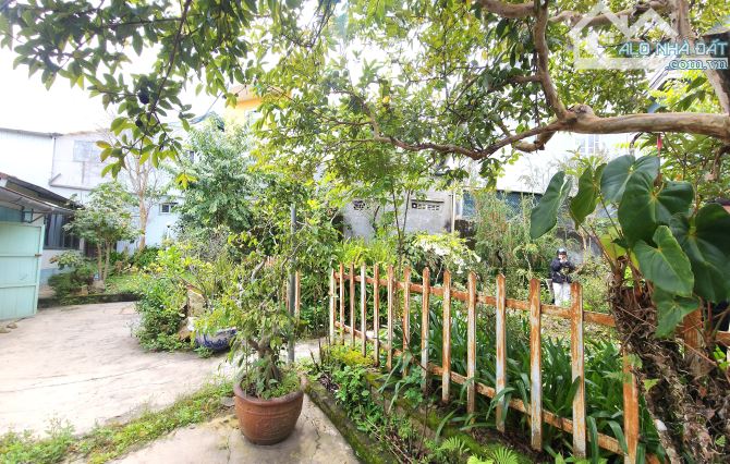 NHÀ GỖ SÂN VƯỜN AO CÁ  ĐƯỜNG Ô TÔ NGUYỄN DU ĐÀ LẠT - 8