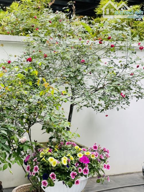 Bán nhà 5T, 6m MT, DT 125m2 nhà liền kề, Lô nhà vườn KĐT Việt Hưng, có tầng hầm. 18.5 tỷ. - 5