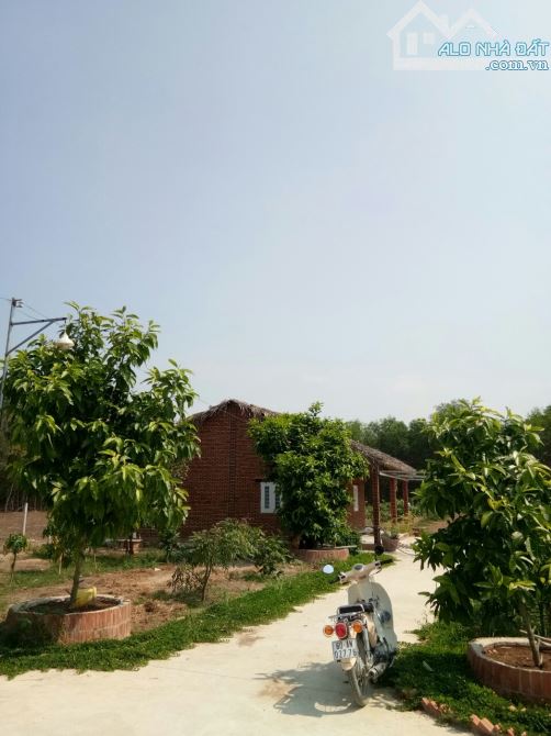 CẦN TIỀN bán gấp đất Đại Phước Nhơn Trạch GẦN ECOPARK, ngộp nặng, giá rẻ 2,5tr/m, CHỦ - 5