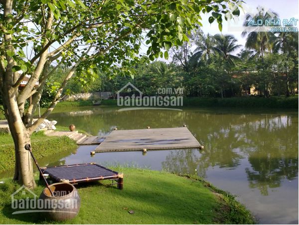 CẦN TIỀN bán gấp đất Đại Phước Nhơn Trạch GẦN ECOPARK, ngộp nặng, giá rẻ 2,5tr/m, CHỦ - 6